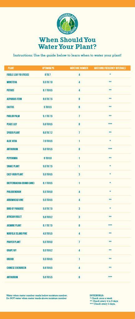 moisture meter chart for herbs|how to water herbs properly.